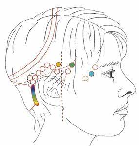 Access Consciousness